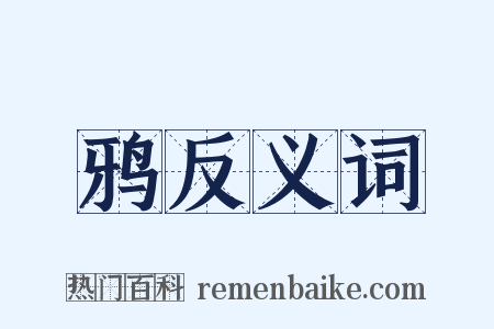 鸦反义词是什么意思的图片